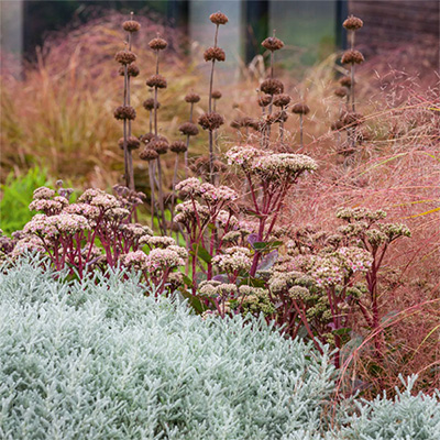 jardin ambiance chic