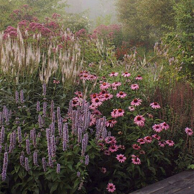 jardin de curé